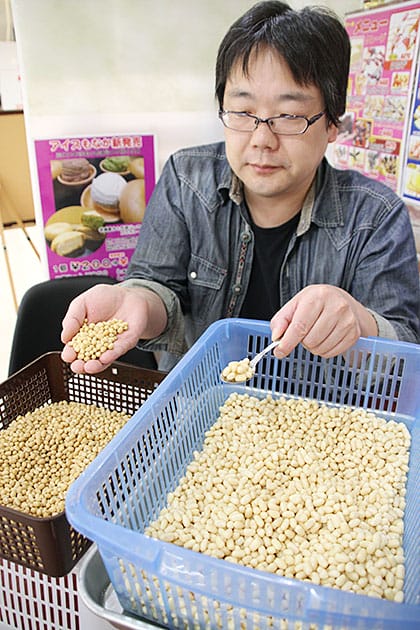 その名も「白雪大納言」 白い小豆でお菓子製造へ - 丹波新聞