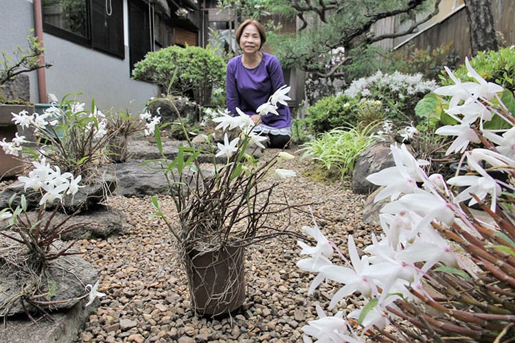【中古】 ワンダフル但馬・丹波・丹後 小旅行へのいざない/神戸新聞総合出版センター ワンダフル但馬・丹波・丹後 小旅行へのいざない / 神戸新聞総合