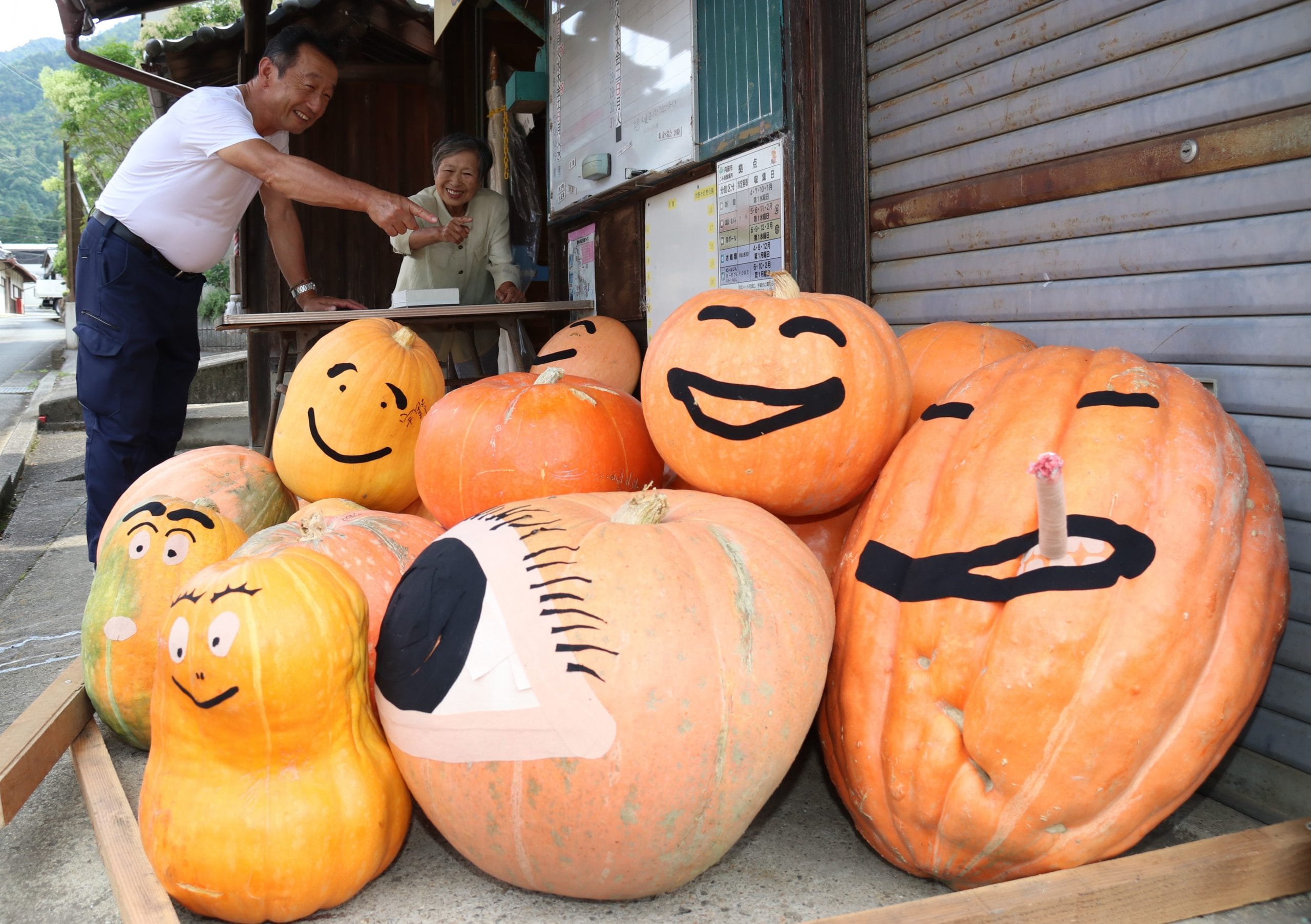 カボチャにっこり 住民育てた”ジャンボ”たち 小さな村で「祭り」 - 丹波新聞