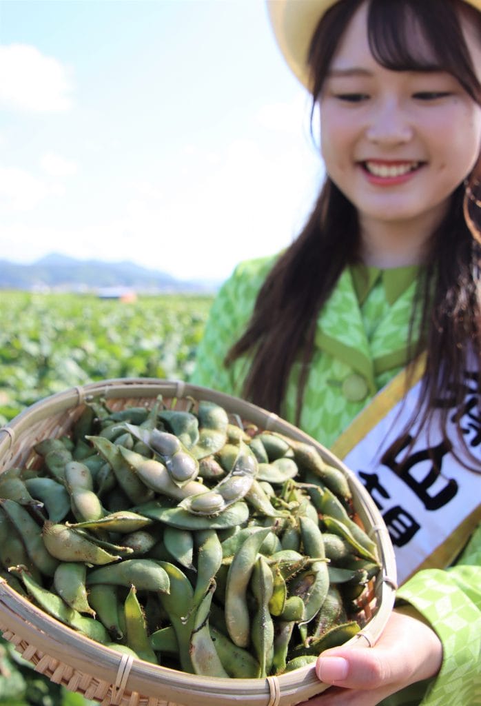 IMG_6111-698x1024.jpg?strip=