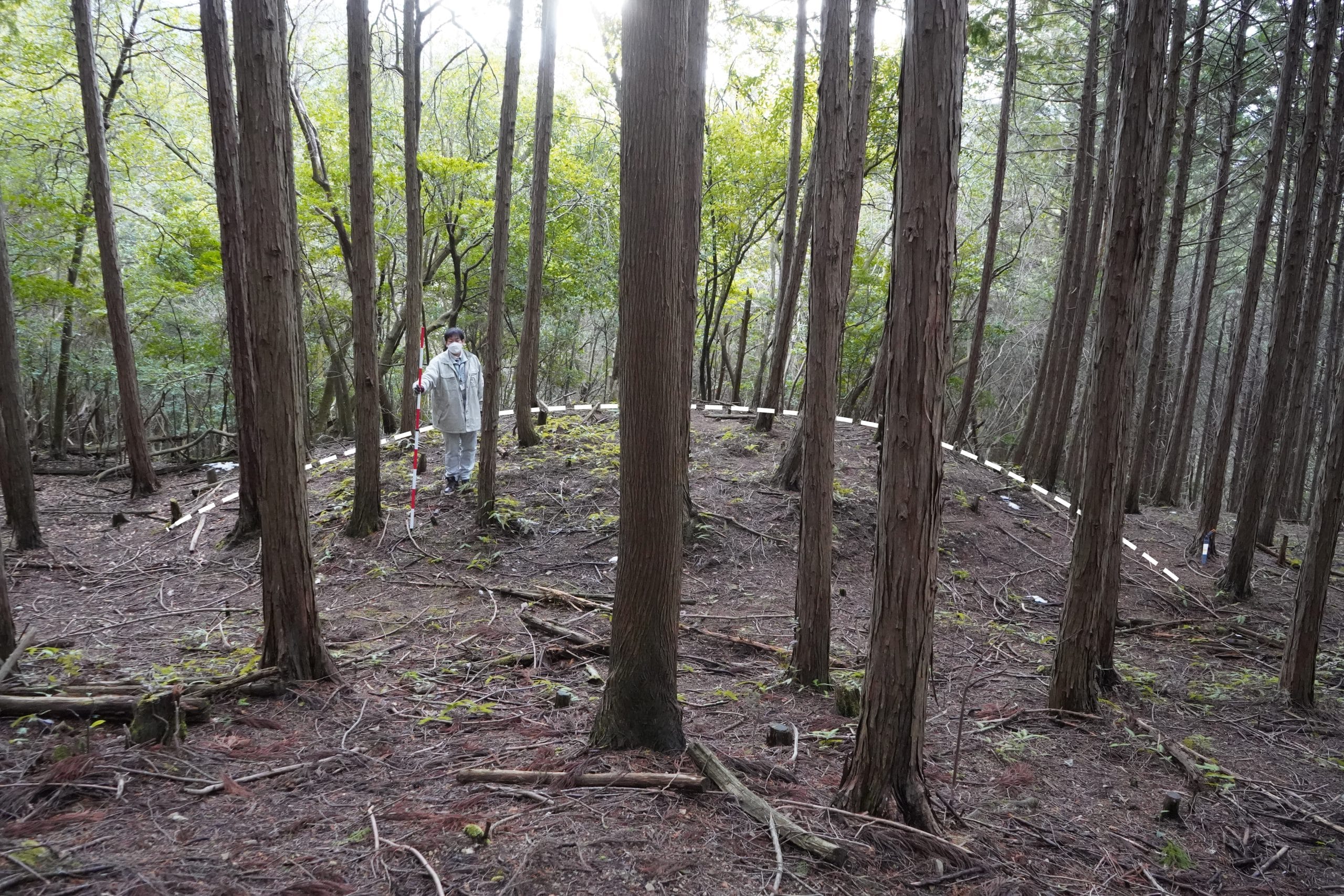 6～7世紀の円形古墳 城跡ある山の山腹で確認 来年度中に遺跡登録へ - 丹波新聞