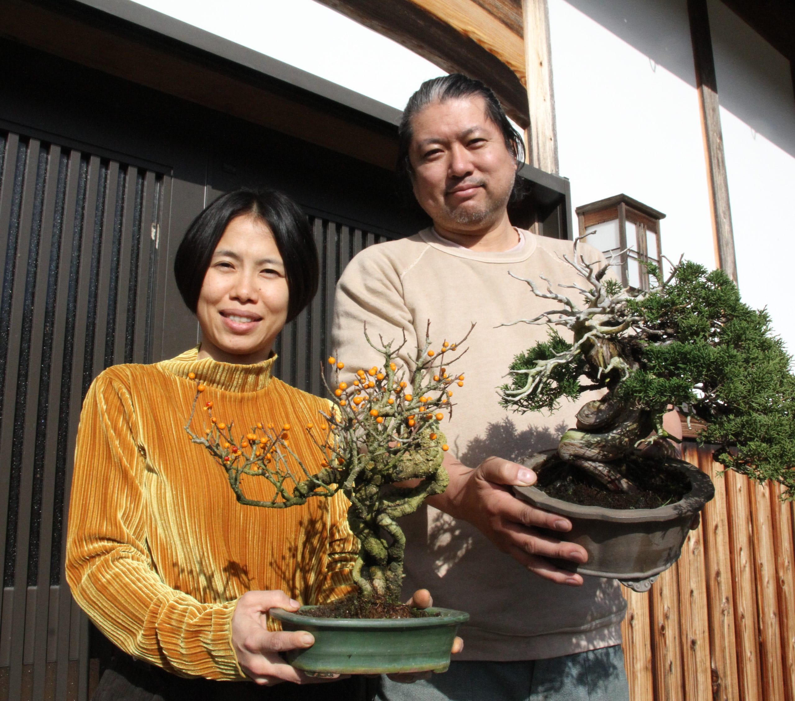 丹波に盆栽専門店 素材生産と子育て環境求め移住 23日から展示会 - 丹波新聞