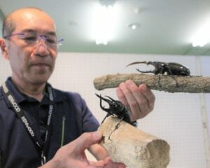 0fc138f6763bfc483ac87a0ff30824