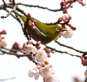 IMG_48612-300x282.jpg?strip=