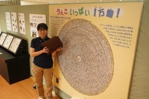 虫のうんこに注目！ 形で分類し180種展示 ”落とし主”のクイズも - 丹波新聞