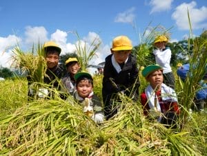 DSC00092-300x226.jpg?strip=all