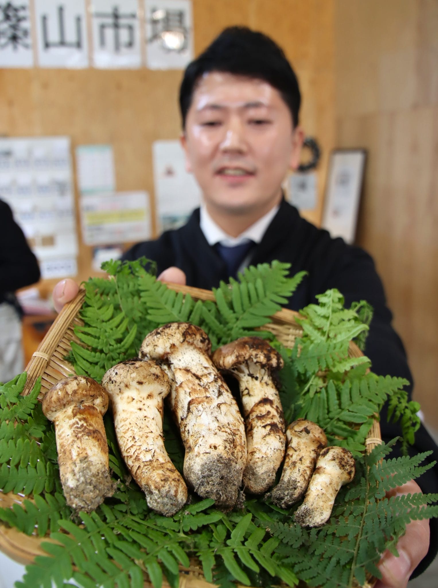 出ました「初松茸」 秋の王者「丹波松茸」産地で初競り 6本96万円と1本80万円で落札 - 丹波新聞