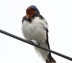 acf2f627728cb90d834b730f71db34