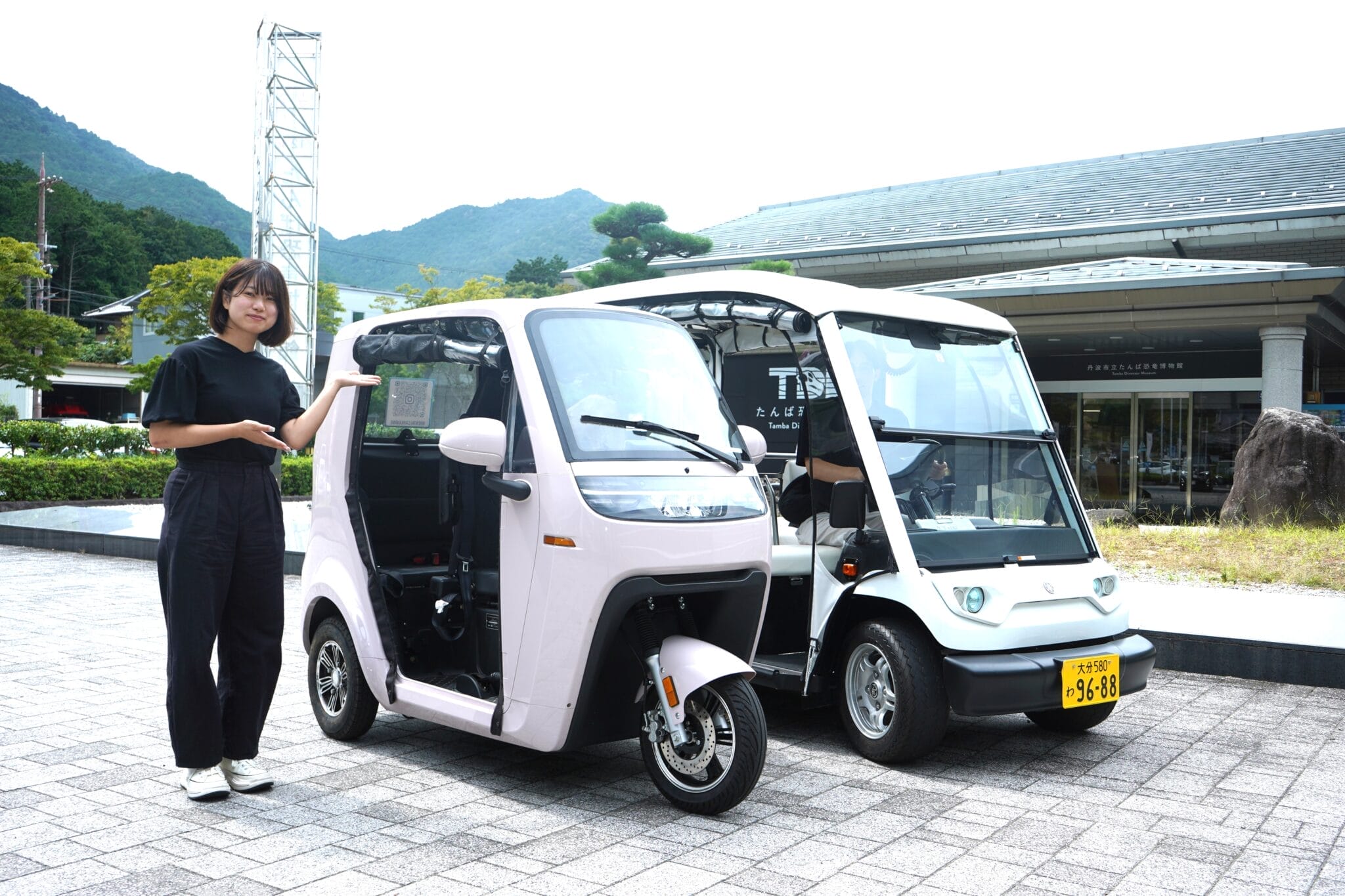丹波布に魅せられ歩んだ60年 本出版と記念展覧会 伝統技術守る